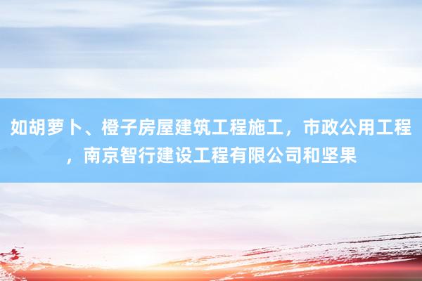 如胡萝卜、橙子房屋建筑工程施工，市政公用工程，南京智行建设工程有限公司和坚果