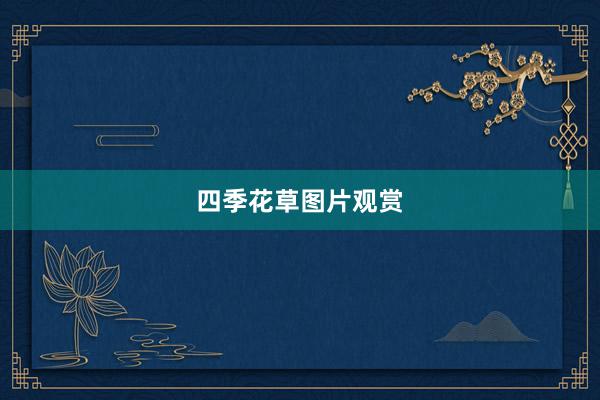 四季花草图片观赏