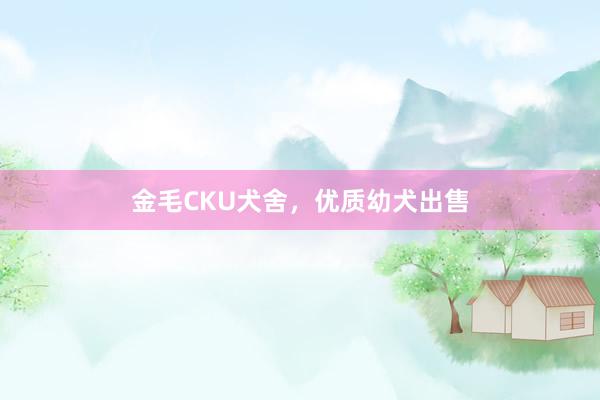 金毛CKU犬舍，优质幼犬出售