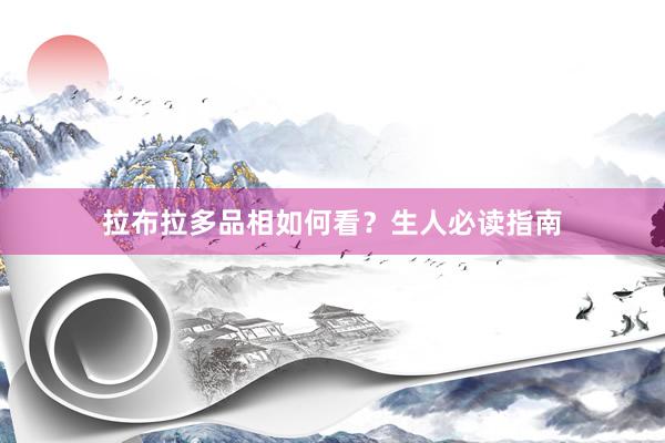 拉布拉多品相如何看？生人必读指南